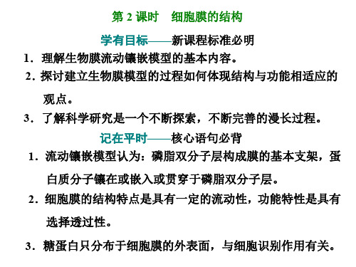 2020版新课程同步人教版高中生物必修第一册：第1节   第2课时 细胞膜的结构