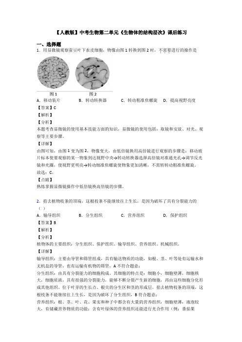 【人教版】中考生物第二单元《生物体的结构层次》课后练习