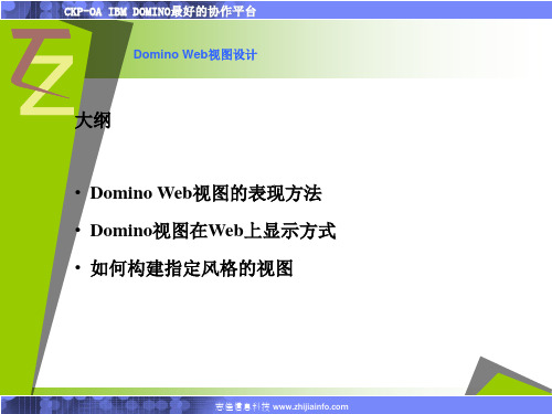 5 Domino Web视图设计