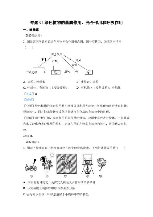 专题04 绿色植物的蒸腾作用、光合作用和呼吸作用-2022年中考生物真题 (全国通用)