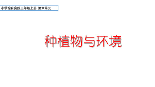 小学综合实践活动三年级上册第六单元《种植物与环境》课件