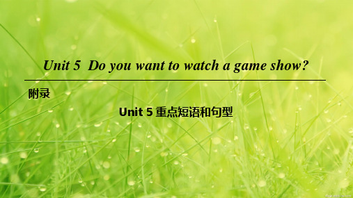 八年级英语上册unit5doyouwanttowatchagameshow重点短语和句型课件48