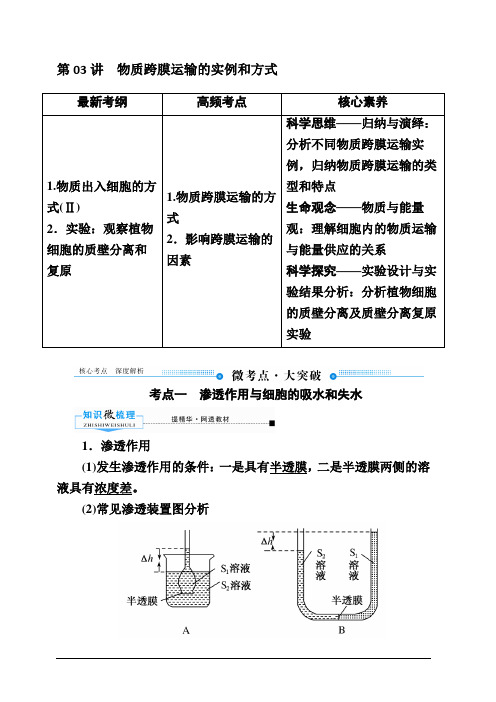 2020版赢在微点高考生物人教版一轮复习讲义：第二单元第03讲物质跨膜运输的实例和方式含答案