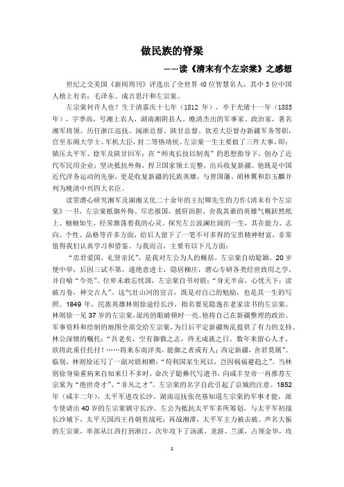 做民族的脊梁——读《清末有个左宗棠》之感想