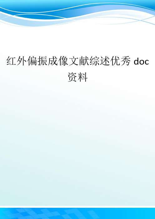 红外偏振成像文献综述优秀doc资料