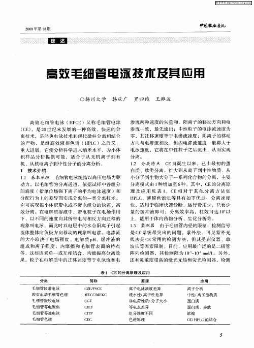 高效毛细管电泳技术及其应用