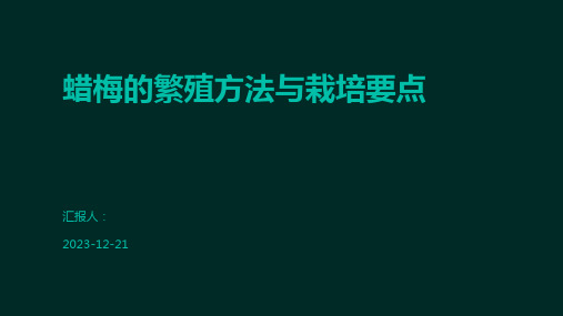 蜡梅的繁殖方法与栽培要点