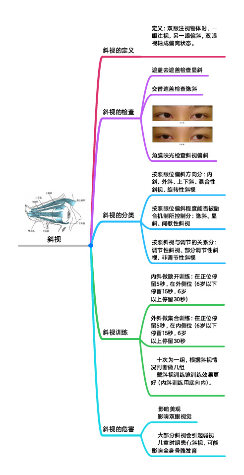 斜视的检查