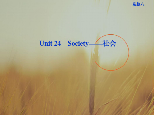 高考英语北师大版选修8一轮复习课件安徽专用：Unit 24 Society社会 精品