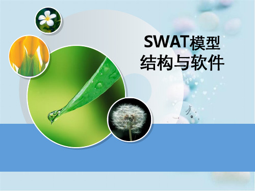 中科院SWAT模型结构与软件