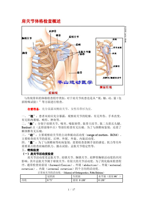 肩关节相关体格检查