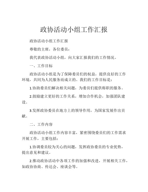 政协活动小组工作汇报