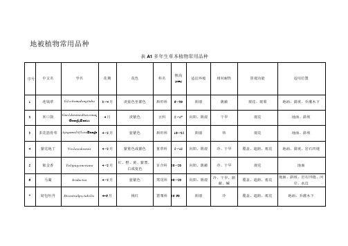 地被植物常用品种
