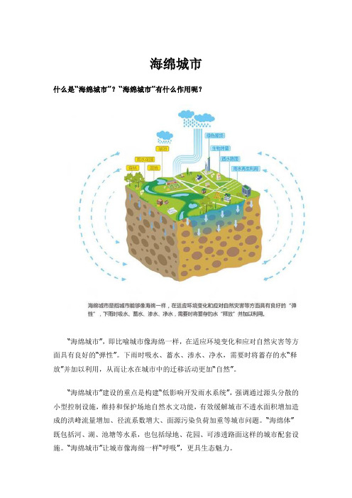 海绵城市