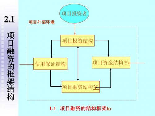 项目融资资金结构