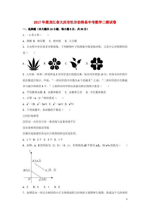 黑龙江省大庆市杜尔伯特县2017年中考数学二模试卷(含解析)