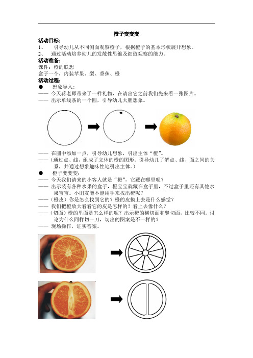 中班橙子变变变