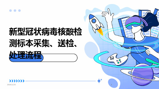 2024版新型冠状病毒核酸检测标本采集、送检、处理流程