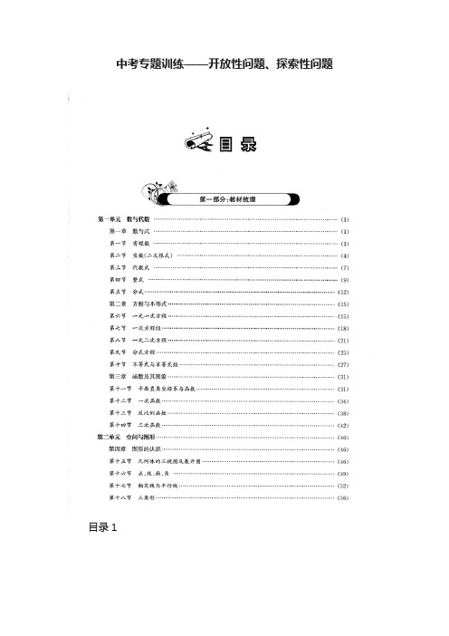 中考专题训练——开放性问题、探索性问题