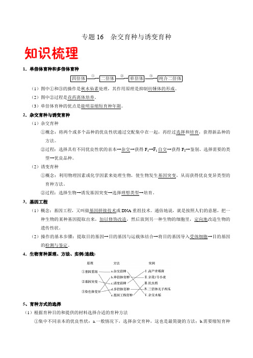 2021年高一生物下学期期末复习专题16 杂交育种与诱变育种(人教版必修2)(Word学生考试版)