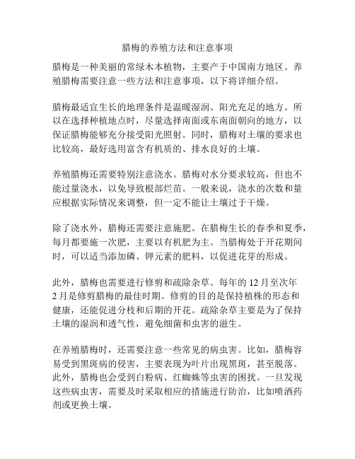 腊梅的养殖方法和注意事项