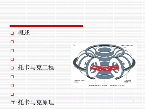 托卡马克装置原理1