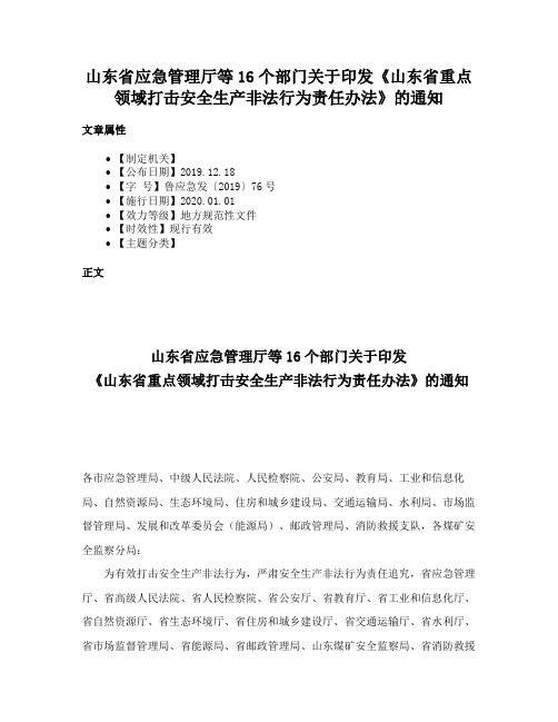 山东省应急管理厅等16个部门关于印发《山东省重点领域打击安全生产非法行为责任办法》的通知