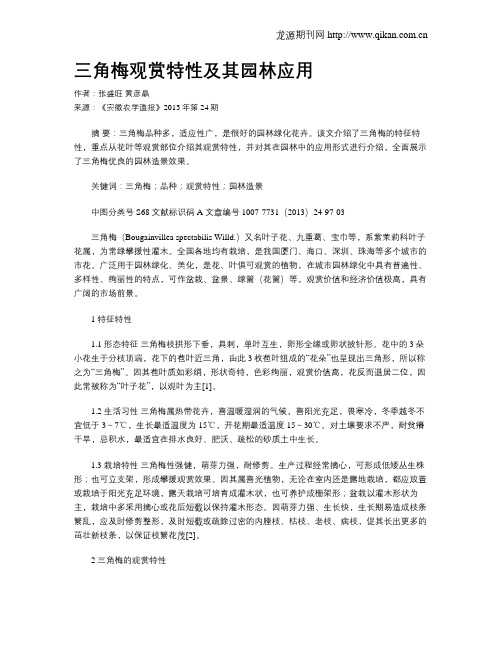 三角梅观赏特性及其园林应用