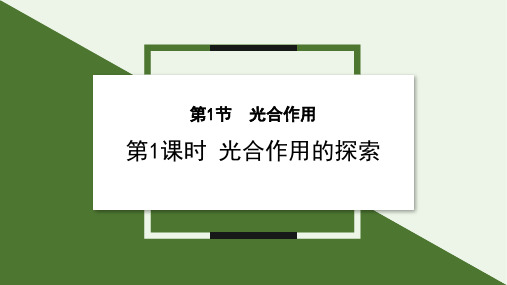 3.4.1 光合作用 第1课时课件(共28张PPT) 2024-2025学年生物北师大版七年级上册