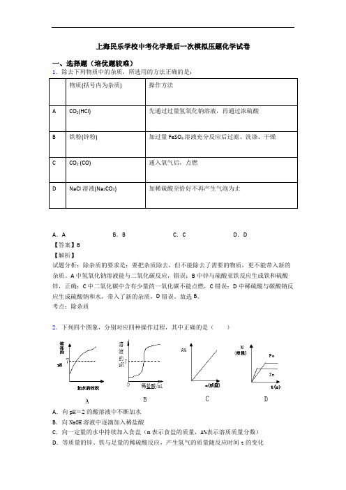 上海民乐学校中考化学最后一次模拟压题化学试卷