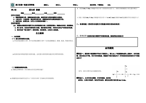 高三生物一轮复习导学案：蛋白质和核酸