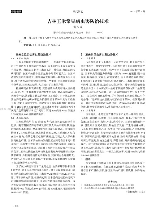 吉林玉米常见病虫害防治技术