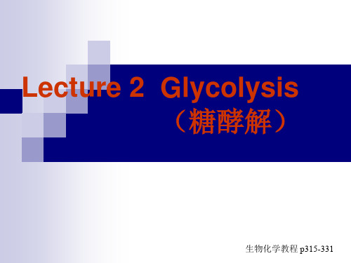 生物化学教学课件：lecture2 glycolysis(糖酵解)