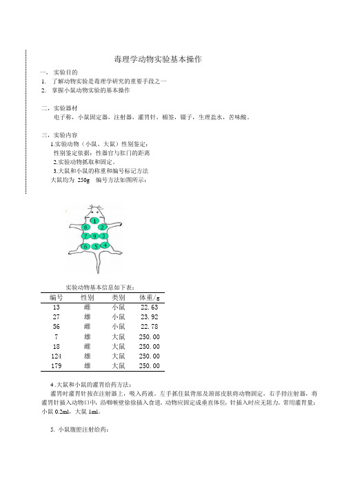 毒理学动物实验基本操作