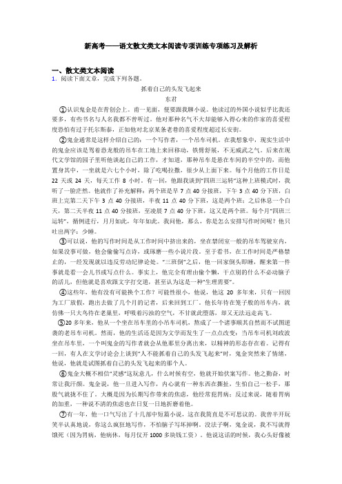 新高考——语文散文类文本阅读专项训练专项练习及解析