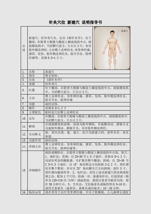 针灸穴位 新建穴 说明指导书