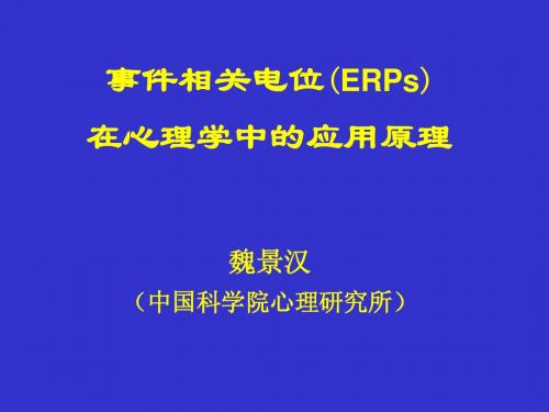 魏ERP4次讲座(3.14-4.4)