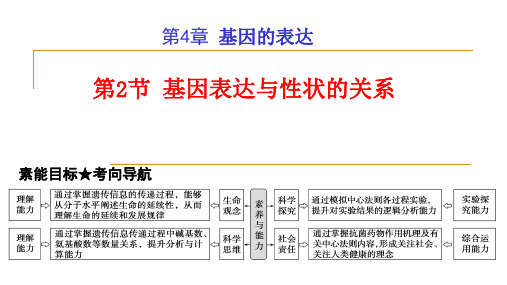 【课件】高三生物一轮复习课件基因表达与性状的关系