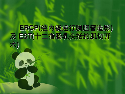 ERCP及EST的护理