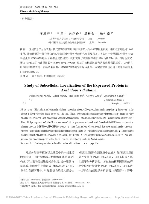 拟南芥中一个未知功能蛋白的叶绿体亚细胞定位研究