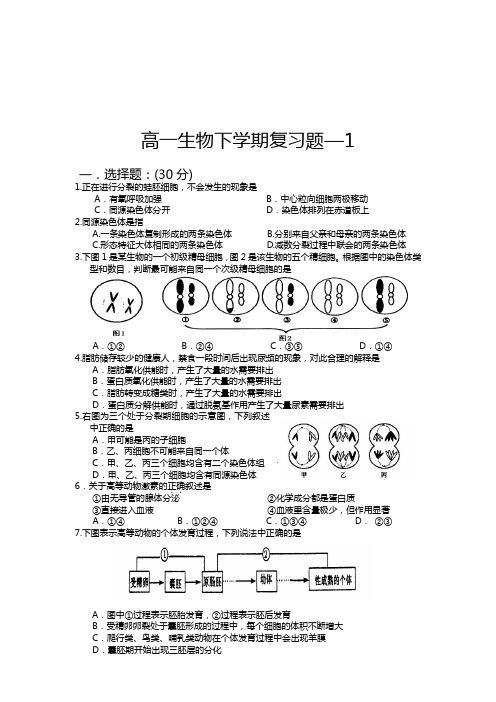 高一生物下学期复习题