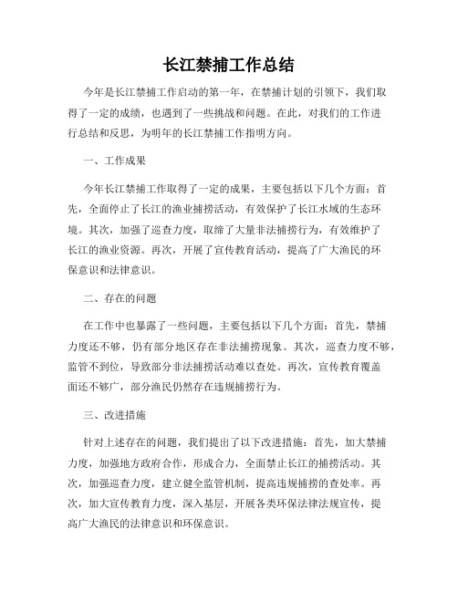 长江禁捕工作总结