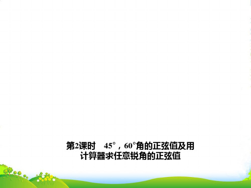 湘教版九年级数学上册习题课件4.1.2 45°,60°角的正弦值及用计算器求任意锐角的正弦值