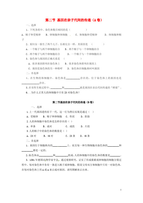 八年级生物下册 7.2.2 基因在亲子代间的传递达标试题 新人教版