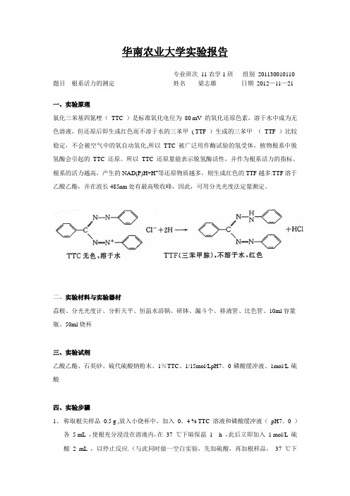 7、根系活力的测定TTC法