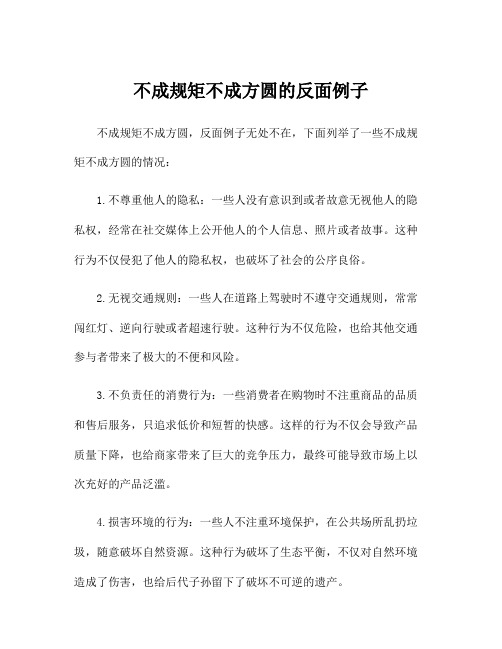 不成规矩不成方圆的反面例子