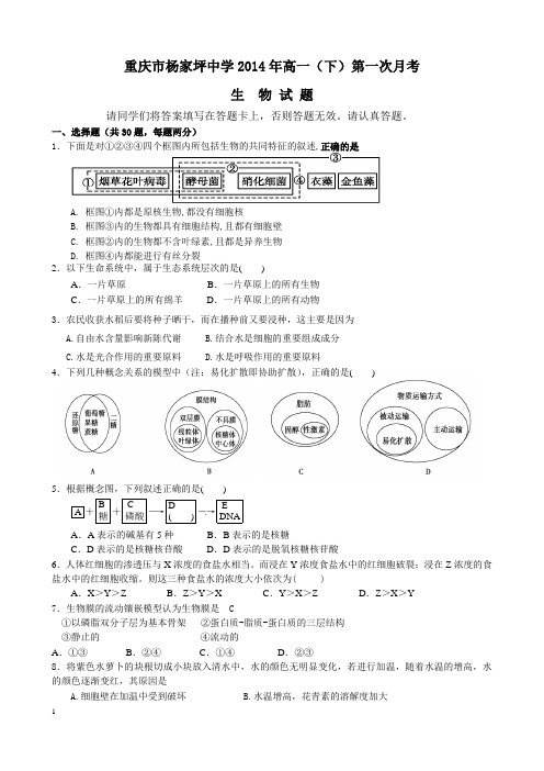 重庆市杨家坪中学2013-2014学年高一下学期第一次月考生物试题