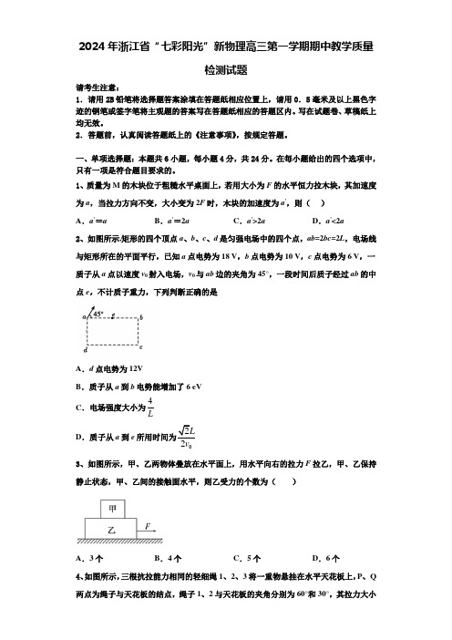 2024年浙江省“七彩阳光”新物理高三第一学期期中教学质量检测试题含解析