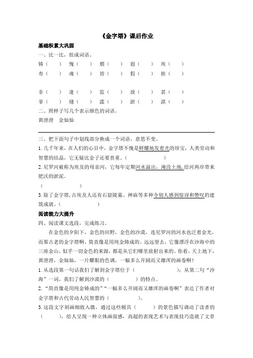 20《金字塔》课后作业(含答案)-五下语 部编版