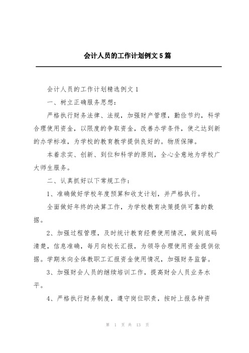 会计人员的工作计划例文5篇